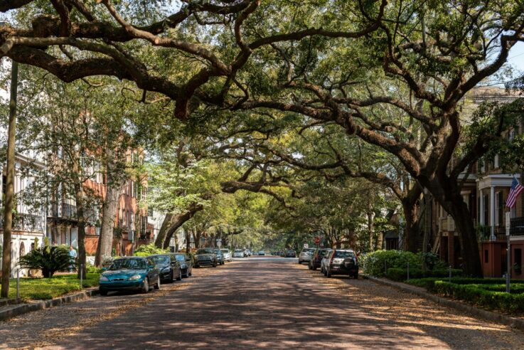 Why Are Car Accidents So Common in Savannah? A Look at Local Hotspots